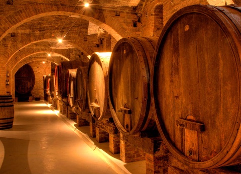 Séjour familial avec entrée à l'Aquarium Nausicaa - 3* - 8