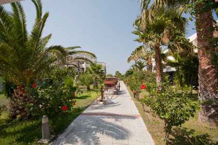 Hôtel Tigaki Beach 3* - 8