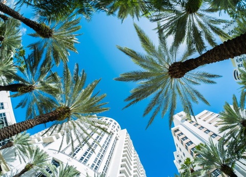 Circuit Panorama des Etats du Sud-Est Américain & extension Miami - 10