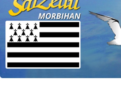 Camping Les Mouettes, 3* - 55