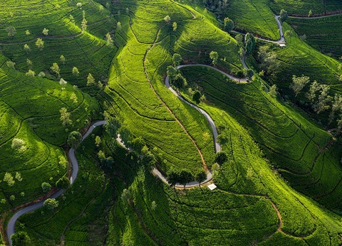 Circuit Merveilles de Ceylan 3*/4* - 10