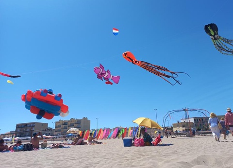 Camping Le Pinada, 3* - 34