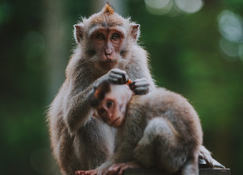 Circuit en liberté entre Bali et Gili Trawangan - 6