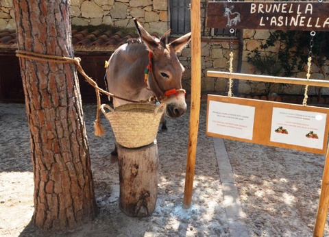 Camping Village El Bahira, 4* - 9