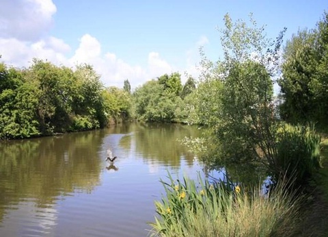 Camping Mirabel Les Prairies de la Mer, 4* - 5