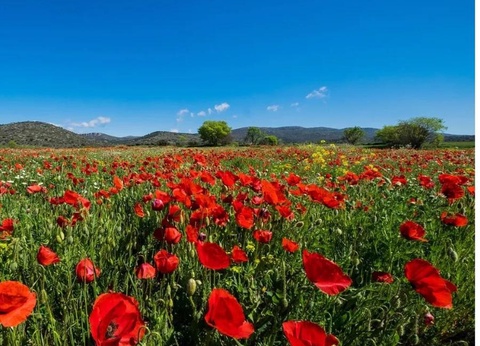 Camping Le Luberon | Pausado, 4* - 28