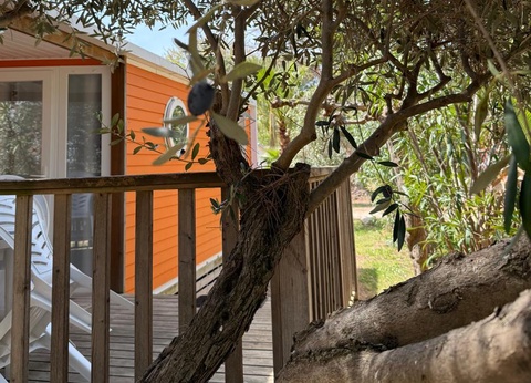 Flower Camping Le Mas de Mourgues, 3* - 24