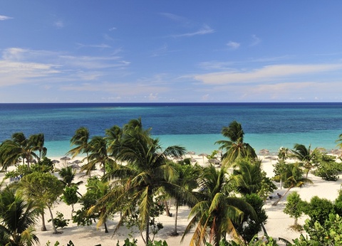 Isla Cubana - Eté 2025 - 8