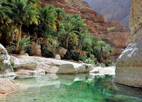 Circuit Wadis, dunes et montagnes : traversée des merveilles d'Oman - 6