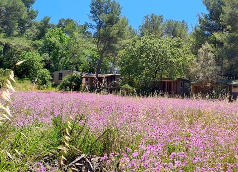 Camping Le Beau Vezé, 4* - 37