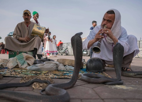 Circuit Voyage aux mille couleurs : Marrakech, Bin El Ouidane et Agafay - 12