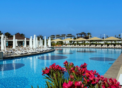 13J/12N - ORANGE COUNTY BELEK-AI - 2