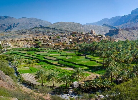 Circuit Oman, terre de traditions - 10