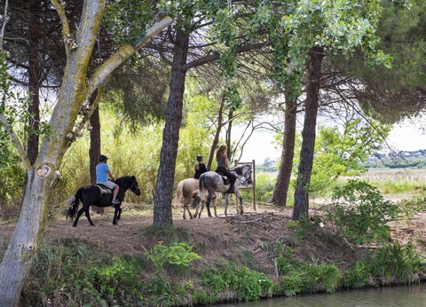 Camping Les Tamaris et Les Portes Du Soleil, 3* - 60