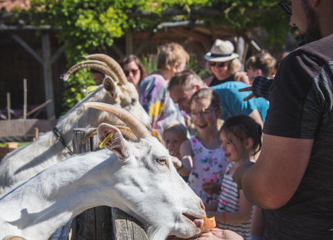 Camping Paradis La Grand'Métairie 4* - 12