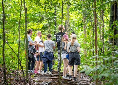 Circuit Du Parc National de Khao Sok aux Sables de Khao Lak - 29