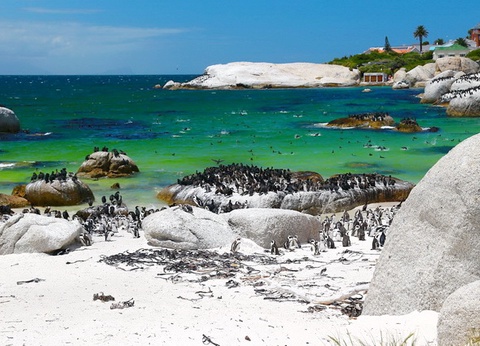 Chroniques d'Afrique Australe - Afrique du Sud, Zimbabwe, Eswatini - 28