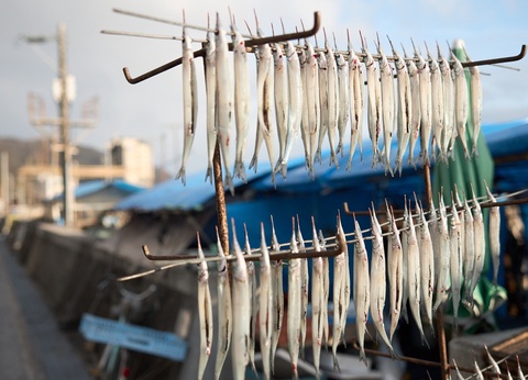 Circuit individuel: Monts et mers veillent en 3*ou 4* - 16