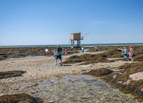 Flower Camping La Guichardière, 4* - 37