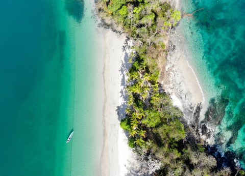 Circuit Panama, Couleur Café - 34