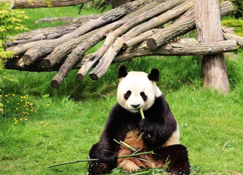 Camping maeva Escapades La Citadelle, 4* - 60