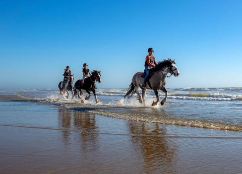 Camping Atlantic Club Montalivet, 5* - 31