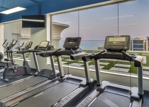 Hôtel Fram Sélection Royal Central The Palm ***** - 11