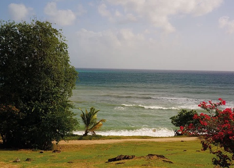 COMBINÉ 2 ILES (10 nuits) : GUADELOUPE Zenitude Le Clipper + MARTINIQUE Karibéa Amandiers - 11