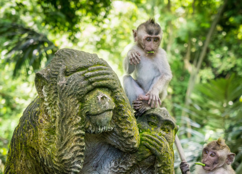 Circuit De Bali à Lombok et Gili 4* - 4