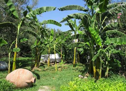 Hôtel Le Hammamet Hôtel & Spa 4* - 28