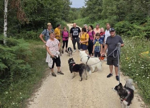 Camping Domaine Du Bois Coquet, 3* - 37