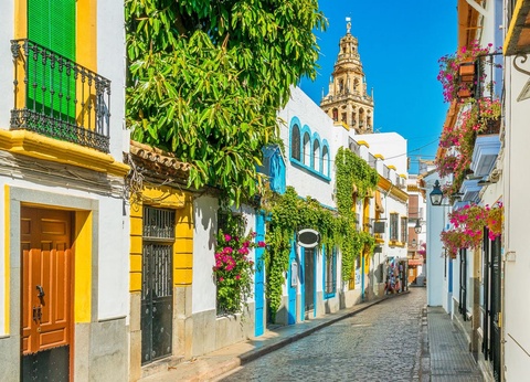 Circuit Indispensable Andalousie - 3