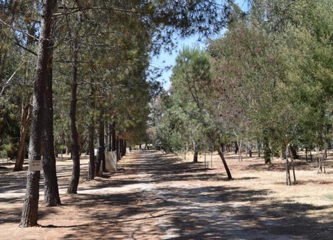 Camping Paradella 3* - 11