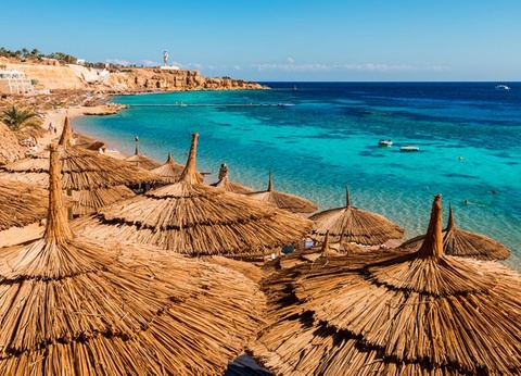 Hôtel Double Tree by Hilton Sharks Bay Resort 4* - 10