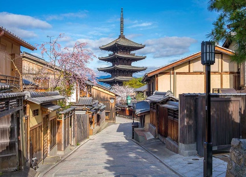 Circuit évènement : Hanami, le réveil des cerisiers - 5