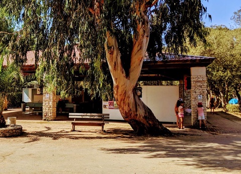 Camping Campo di Liccia, 3* - 36