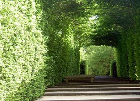 Camping L'Eau Vive, 4* - 46