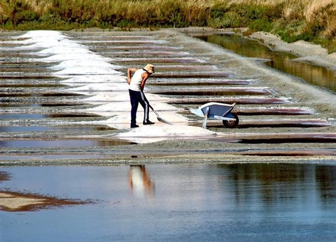 Camping L'Abri des Pins, 4* - 151