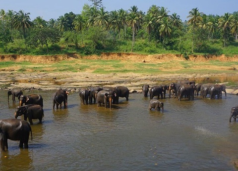 Circuit Evasion au Sri Lanka - 44