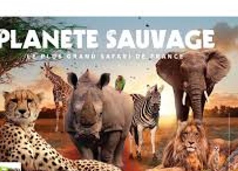 Camping L'Abri des Pins, 4* - 239