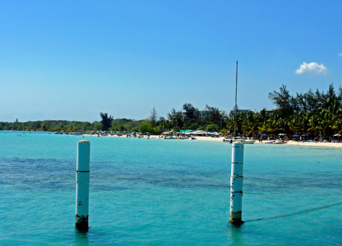 Circuit Panama, Couleur Café - 28