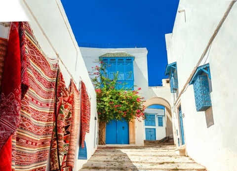 Circuit Trésors de Tunisie 3* - 5