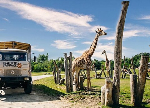 Camping Les Samaras, 3* - 65