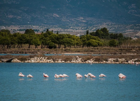 Hôtel Falkensteiner Resort Capo Boi 5* - 13