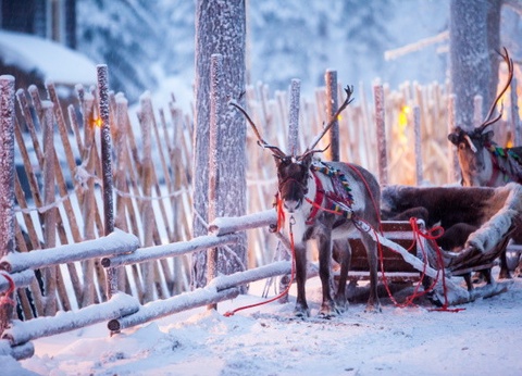 Club Framissima Cape East (activités incluses) - 8