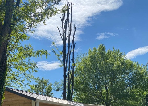 Camping Le Pressoir, 4* - 25