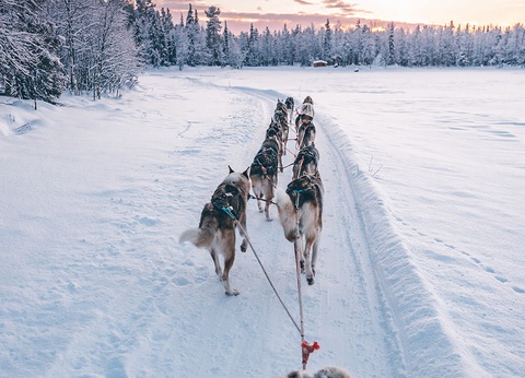 Hôtel Levi Panorama Finlande - Laponie Activités incluses 5 jours / 4 nuits - 13