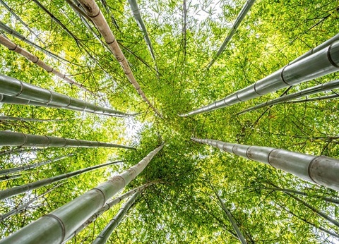 Circuit Individuel : La Grande Boucle de Corée - 16