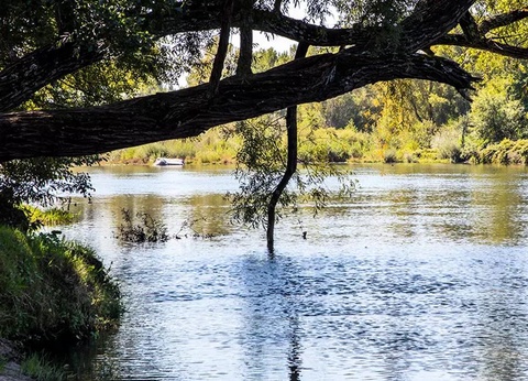 Camping Domaine du Cros d'Auzon, 4* - 41