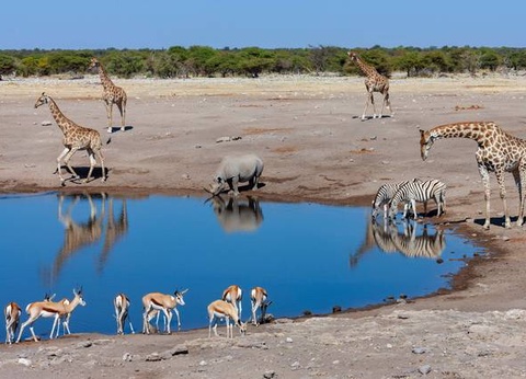 Aventure en Namibie et extension Fish River Canyon - 4